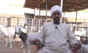 زيارة لمزرعة عاصم اسماعيل برنامج سنابل حلقة