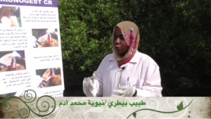 الفوائد الجليلة في تزامن تلقيح الضأن والماعز 20 سبتمبر 2017م - برنامج سنابل